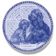 Irish Setter