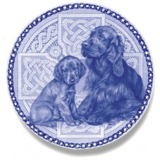Irish Setter