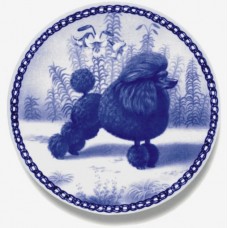 Toy Poodle