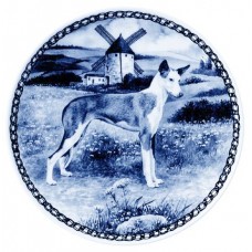 Ibizan Hound