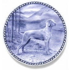 Weimaraner