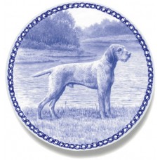 Vizsla - Wirehaired