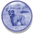 Pyrenean Shepherd Dog