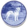 Istrian Rough-Coated Hound