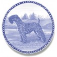 Kerry Blue Terrier