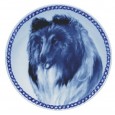 Collie - Rough Sable/White