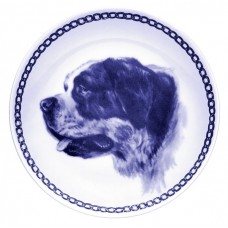 Saint Bernard