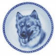 Iceland Sheepdog