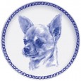 Chihuahua - Smooth Coat