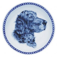 Irish Setter
