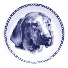 Vizsla