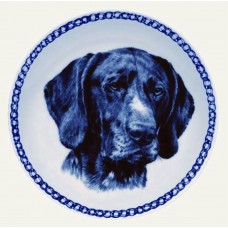 German Shorthaired Pointer
