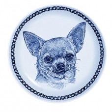 Chihuahua - Smooth Coat