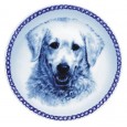Kuvasz