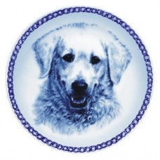 Kuvasz