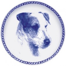 Jack Russell Terrier